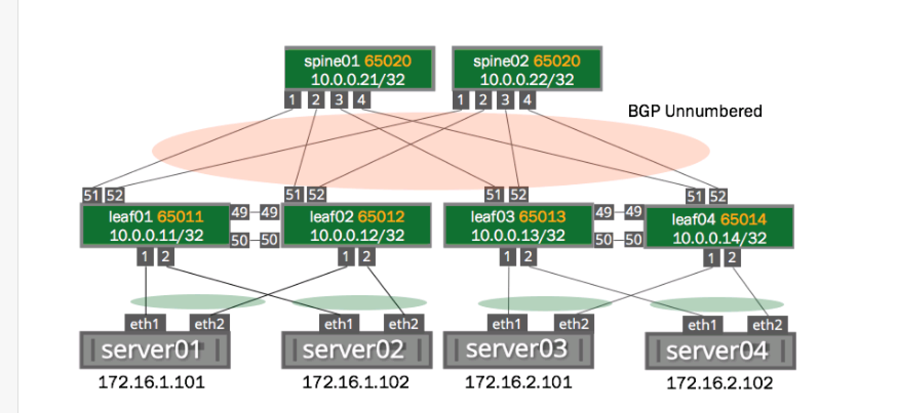 Network Architecture